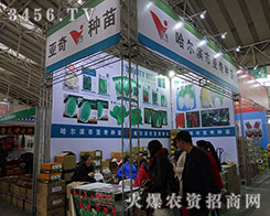 ����N��2015�����I�N����������