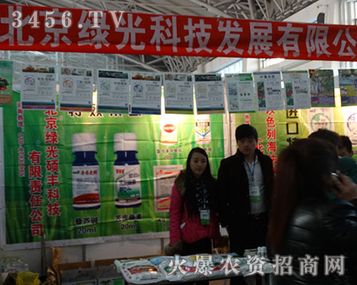 �����G��Ƽ��ڶ�ʮһ�ù����I�N�����ɞ�ҫ�۵�����