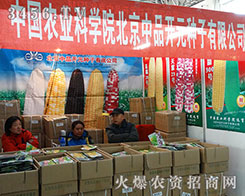 ������Ʒ�_Ԫ�N��չʾ��Ʒ��������ò