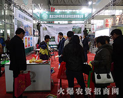 ����ϵ����˲��ǰl(f��)չ�����������r(n��ng)����ڴ��c�����M(j��n)����