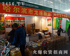 �����I����ʼ�K��(ji��n)�����|(zh��)����������