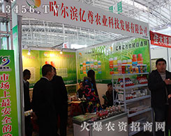 �����I�|��2015�����I�N�ӕ�(hu��)�ϝM�Ѽ���