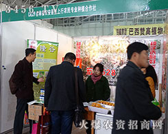 2015�����I�N�ӕ�(hu��)���r(n��ng)���h�������r(n��ng)��Nֲ�����窚(d��)���L(f��ng)�ɣ�