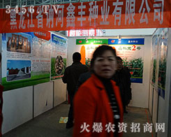 2015�����I�N�ӽ��ו������S�N�I(y��)�c����s��Ҋ��ɢ