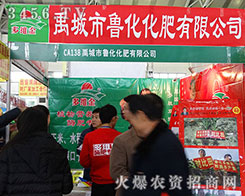 2015�����I�N�ӕ� �������������ʴ�Ů���