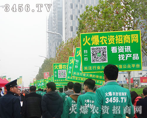 3456.tv�F(tu��n)�Y(ji��)һ�y�ֲ���������31��ֲ����(hu��)