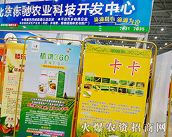 �������Y�r(n��ng)�I(y��)�Ƽ��_�l(f��)���ą���2015ȫ��ֲ����-2015��31��ֲ����Ϣ�������r(n��ng)ˎе���ו�