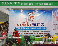 �V����ķ�r(n��ng)�I(y��)���������ĺͼ�(x��)��ȡ���Ñ��ĺ��u