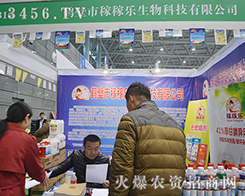 ��31��ֲ�����Q���мڼژ������L(f��ng)�ɱM�@