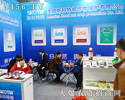 ����˹����ķ����2015����ֲ�����B��ƴ��