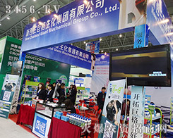 �����m�޸��������F(tu��n)�c��31��ֲ����(hu��)�L(f��ng)������