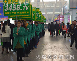 ���r(n��ng)�Y���̾W(w��ng)�ľ�Ӣ�����¿�����������