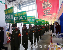 3456.TV�ɞ�2015�ӱ�ֲ����(hu��)�ϲ�Ŀ������ƽ�_(t��i)