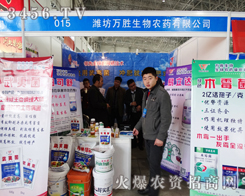 �H���f(w��n)�����չ2015����ֲ����(hu��)