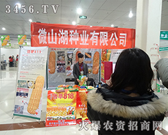 ����΢ɽ���N�I(y��)��2015�ʝ��r�Y���ו�����L��