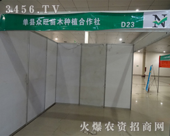 �οh������ľ�Nֲ�������I(y��)��(n��i)��ʿ�v���YӍ