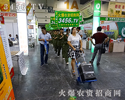 3456.TVһֱ��·��������ͣЪ �ل�(chu��ng)�x��