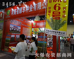 ۱�S�N�I(y��)�A(y��)ף2015���ݷN�ӽ������A�M�ɹ�