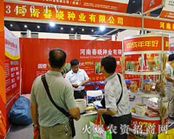 ���ԷN�I(y��)�����ڴ���N�I(y��)Ʒ��