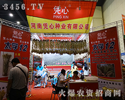 ���ϑ{�ķN�I(y��)ʢ�b��չ2015���ݷN�ӽ��ו�(hu��)