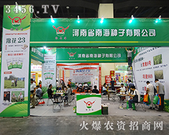 ����ʡ�Ϻ��N����Ҋ���ݷN�ӽ��ו�(hu��)