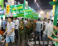 �����Fꠈ��g�ı�Ӱ��׌�����������P(gu��n)ע