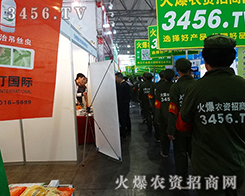 �Gɫ��(zh��n)ʿ���҂�Ŭ�����𱬓P(y��ng)����