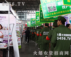 ���߰������ˣ�