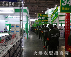 2015�������N�ӽ��ו��㌑���飡