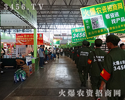 ���c(di��n)���c(di��n)�����£��r(n��ng)�Y�W(w��ng)������������