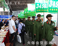 ���r(n��ng)�Y���̾W(w��ng)�������F꠲���������Ȼ���e��������