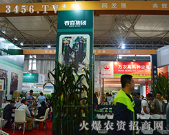 ������ϲ�r�I(y��)��2015�����r�Y���[���ϏV�ܲ�Ŀ