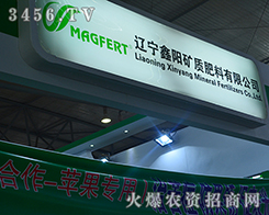 �|����ꖵV�|���Ϟ�2015�����r�Y���[��̓λ�Դ�