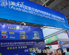 �Ĵ���������ɭ�����|���Q��һ�У�