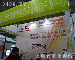 �����G�̌��o��ӡ�������