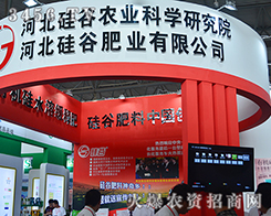 �ӱ���ȷʘI(y��)չ�F(xi��n)��ɫչλ