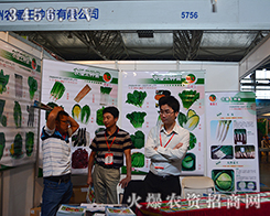 �����r(n��ng)�����N������һ���Pע2015�������r(n��ng)�Y��