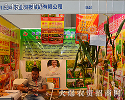 �Ĵ����S�r(n��ng)�I(y��)�Ƽ��l(f��)չ���޹�˾����2015�����r(n��ng)����(hu��)-2015��12�������r(n��ng)�Y���[��(hu��)