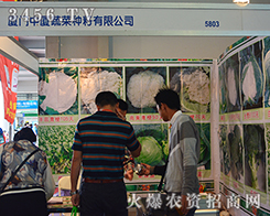 �B�T�ЏB�߲˷N���|(zh��)���Q��һ�У�