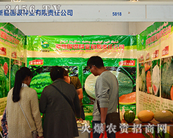 �½���(gu��)�y�N�I(y��)�M�M�Ķ����ի@��