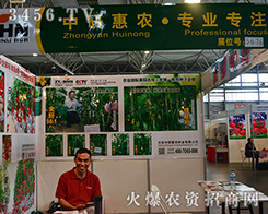 ���л��r(n��ng)�N�I(y��)��(zh��ng)���r(n��ng)�Y�ИI(y��)�I(l��ng)�^��