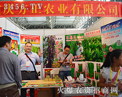 �����ϻ� �ؑc�����r(n��ng)�I(y��)�M�d���w��