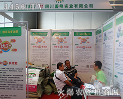 �Ĵ��v�匍(sh��)�I(y��)�@�G2015�����r(n��ng)����(hu��)