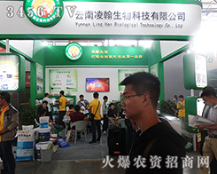 �����躲����2015���������r(n��ng)������(zh��n)���Ȼ