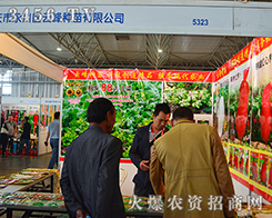 �����Ʒ���Ʒ��2015���������r(n��ng)����(hu��)����׷��