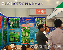 �ɶ����؈@ˇ����������ȫ����