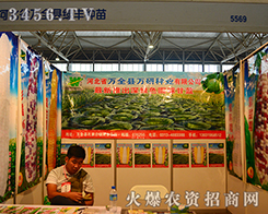 �ӱ�ʡ�f(w��n)ȫ�h�G�S�N��չ�^�ZĿ����