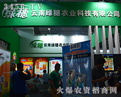 ���ϾG���r(n��ng)�I(y��)չ��(hu��)�ϵı��F(xi��n)�A���˶�κ���