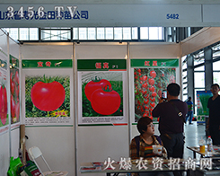 ɽ�|�۹��н���N���Ů�����