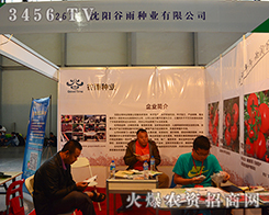 ��ꖹ���N�I(y��)���2015�����r(n��ng)�Y���̘���